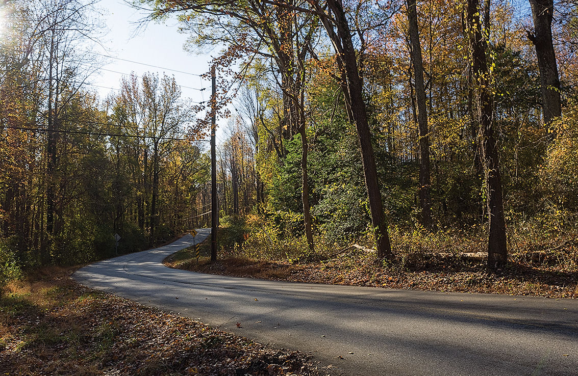 Forest road Anne Arundel MD 2